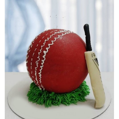 Cricket Theme cake – THE BROWNIE STUDIO